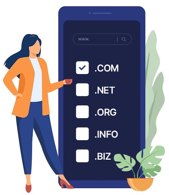 Domain selection and web hosting